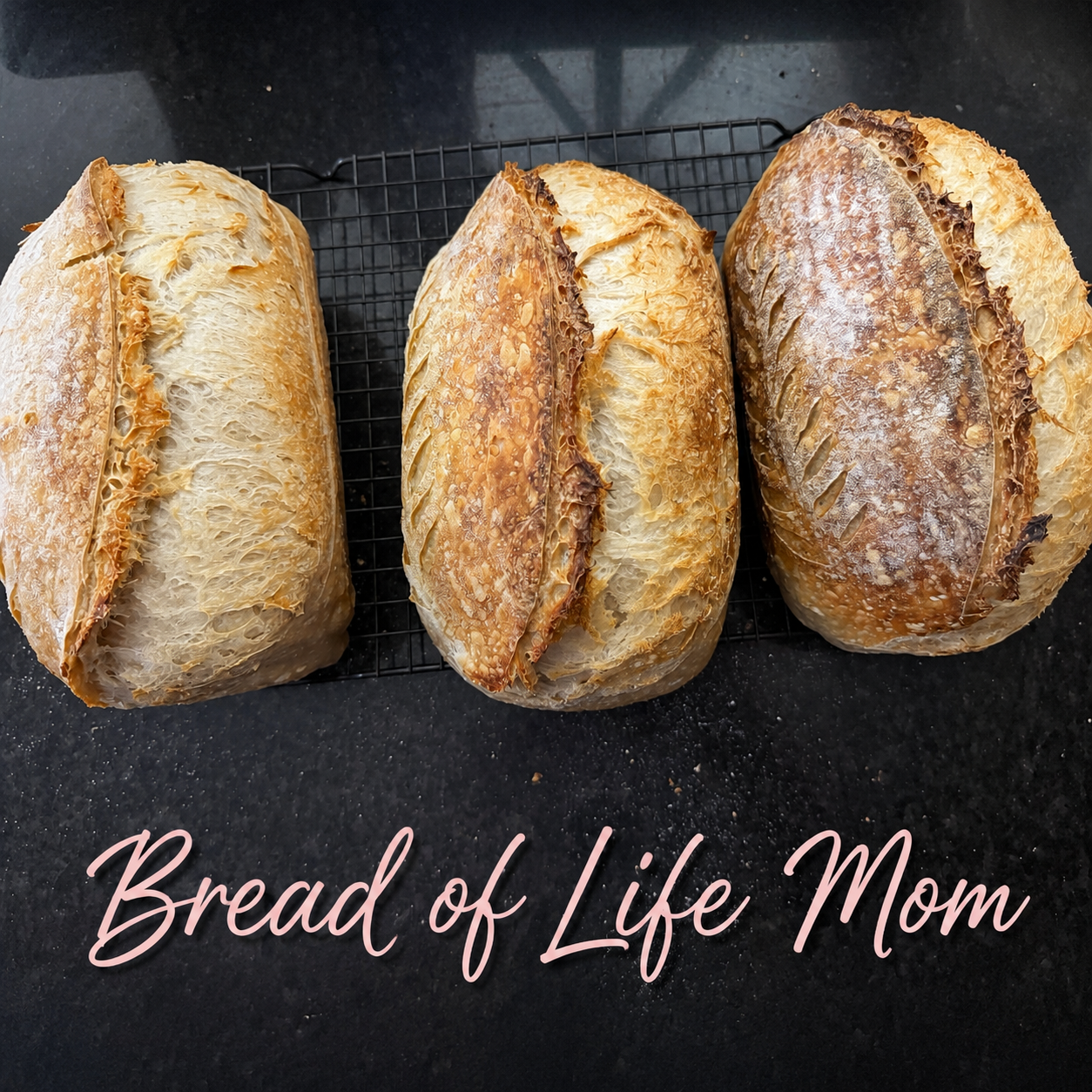 Bread of Life Mom
