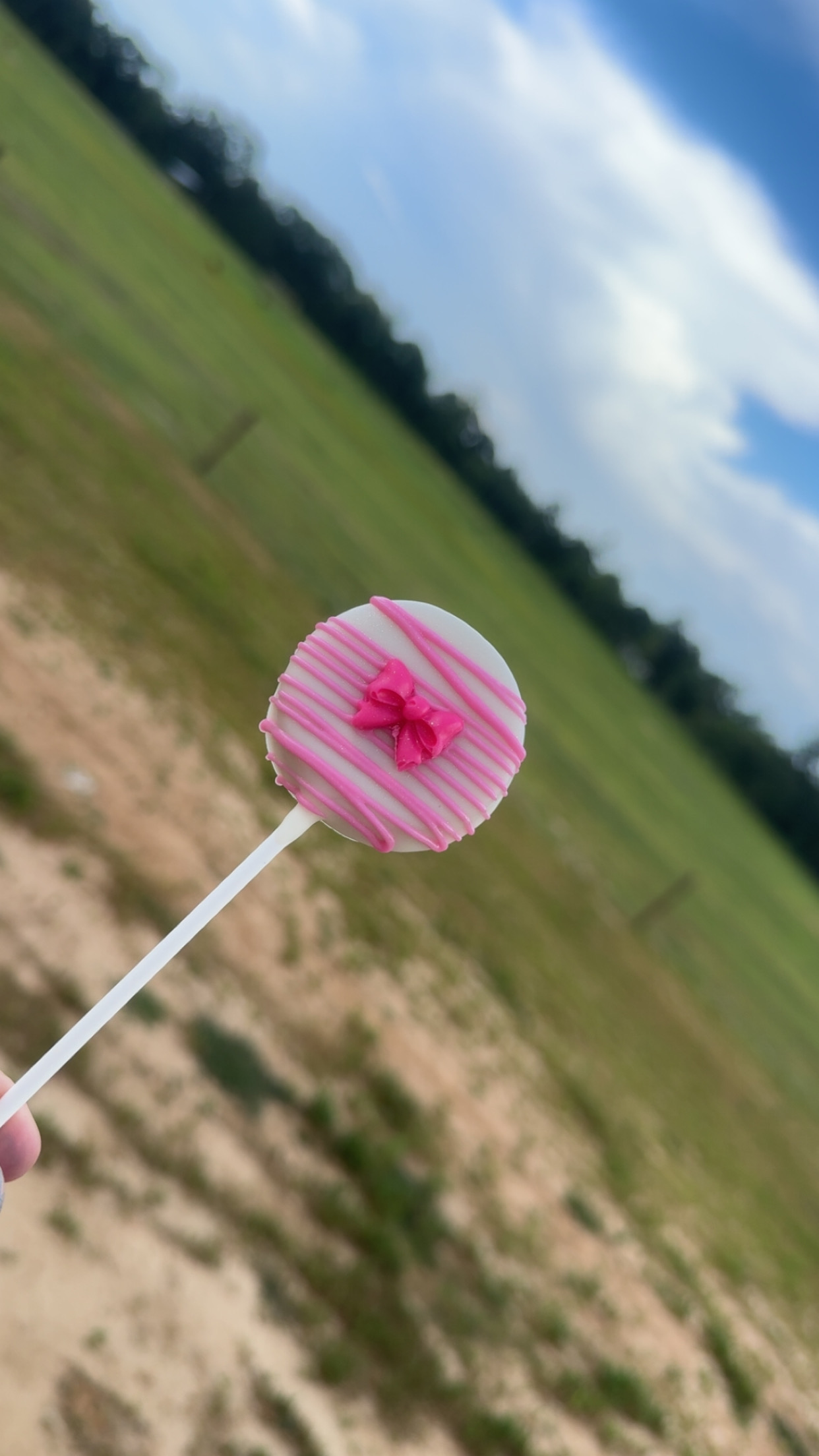 Cake Pops