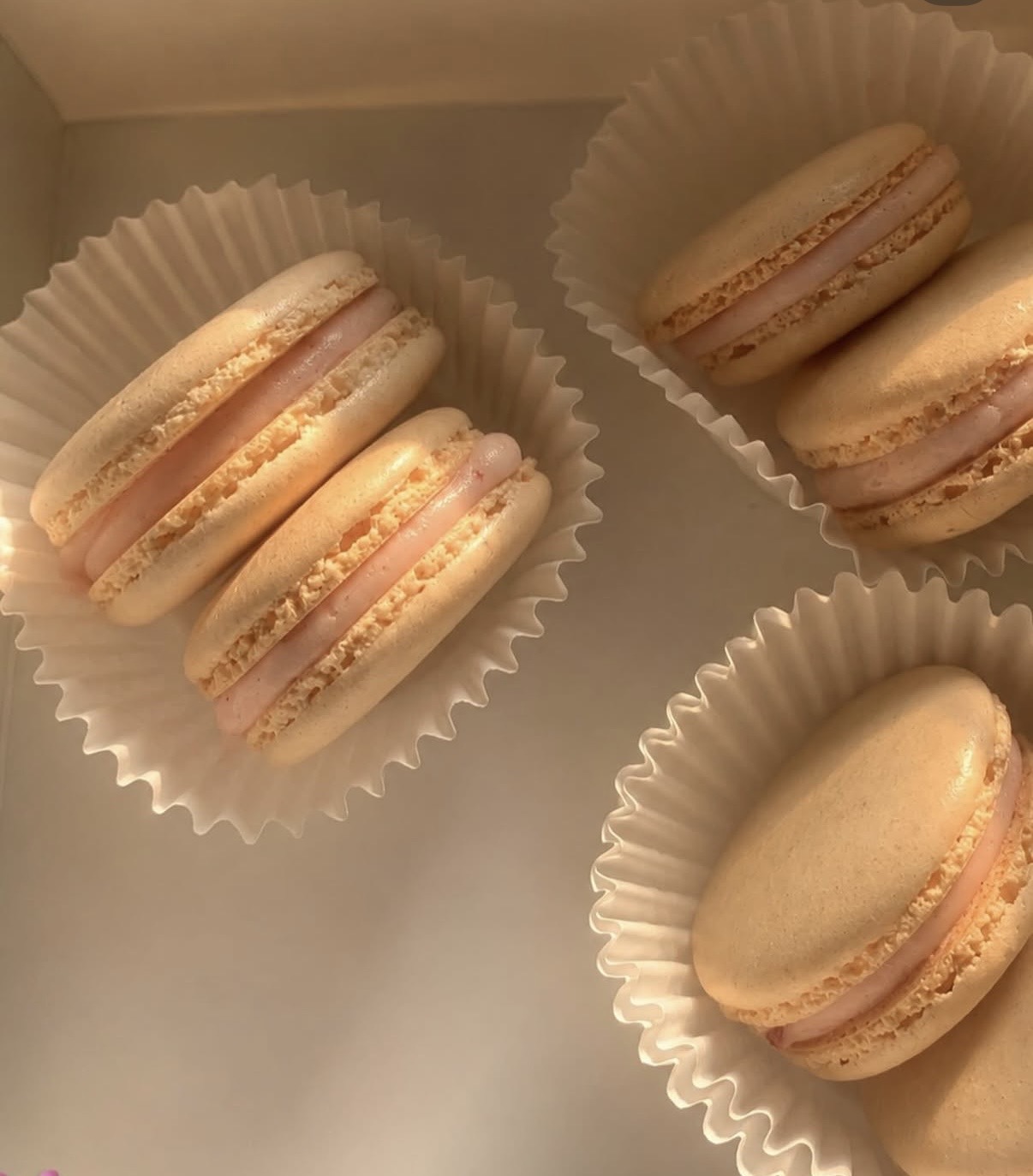 Macarons