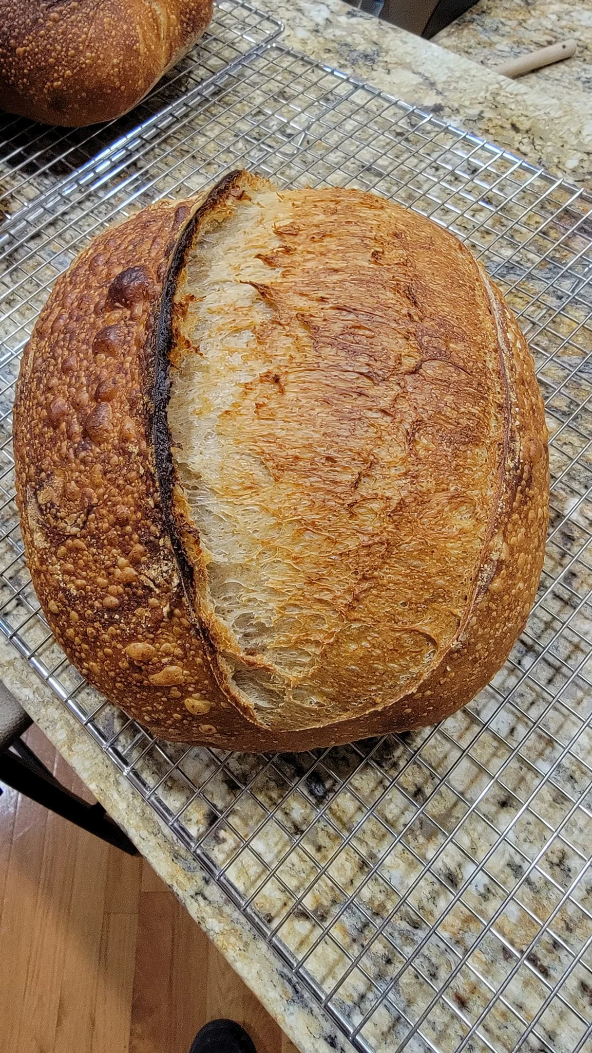 Brick Oven Sourdough